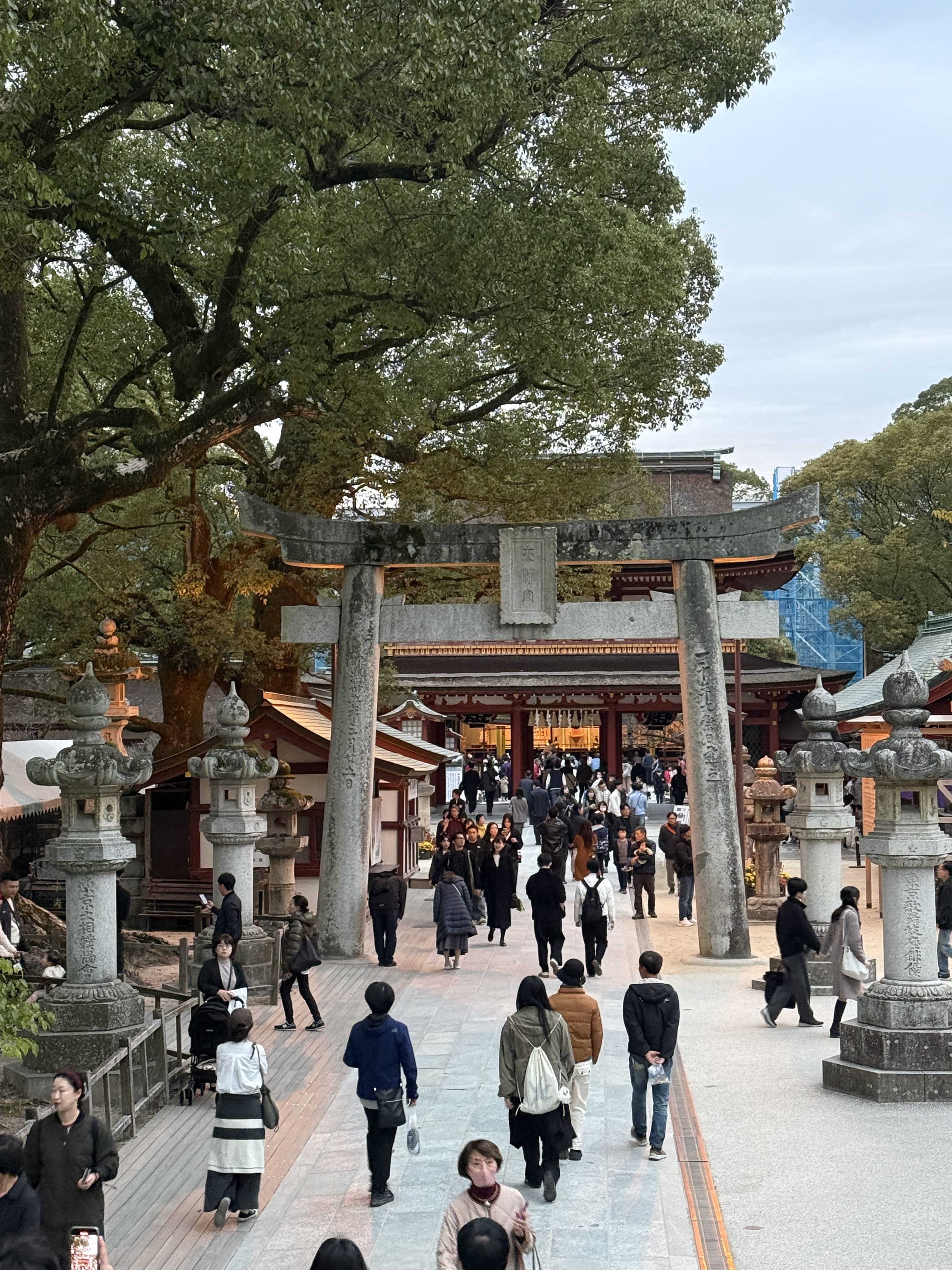 Ultimate Day Trip: Yanagawa & Dazaifu from Fukuoka